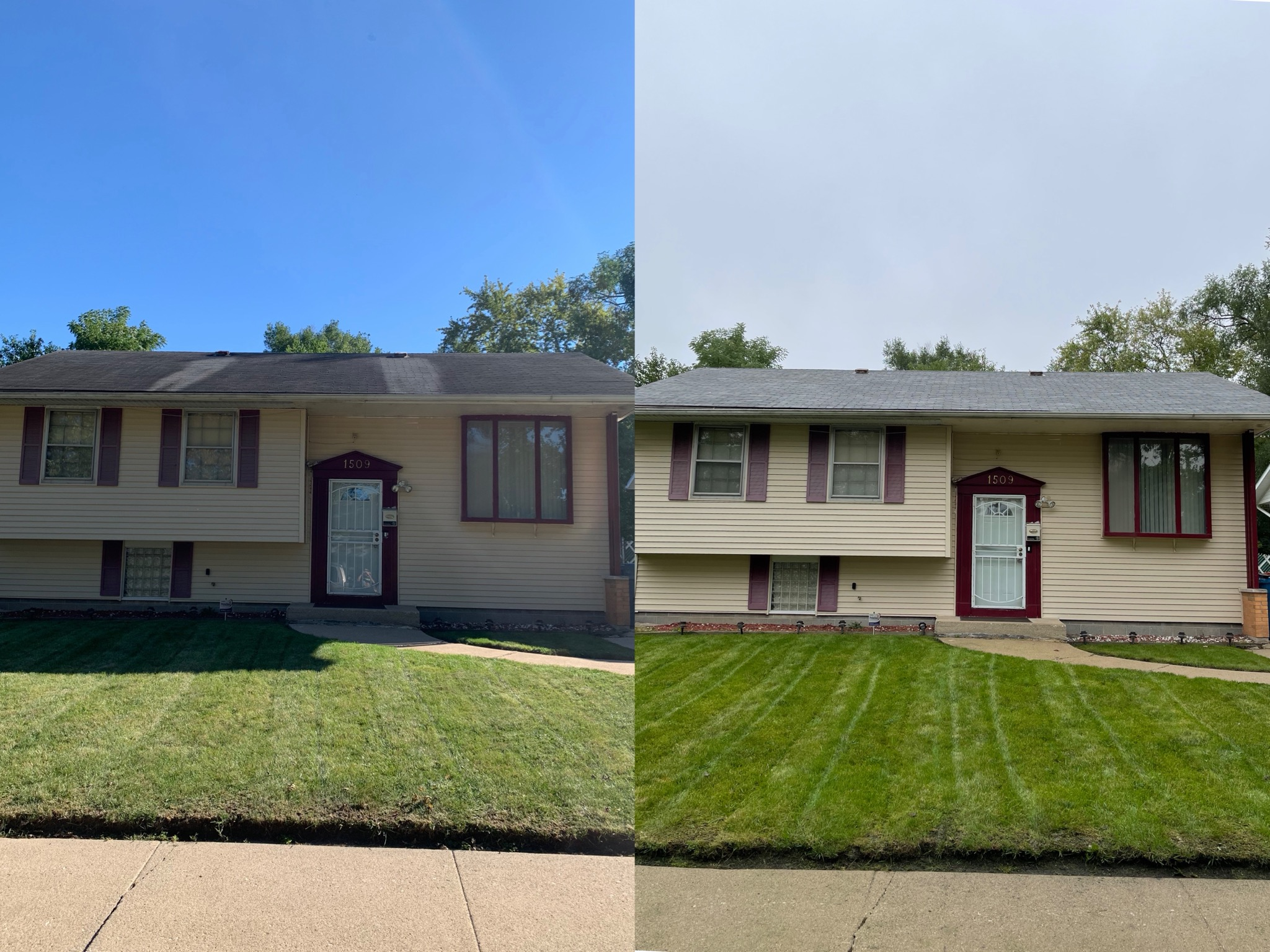Roof cleaning specialist inspecting shingle staining and organic buildup with safety equipment